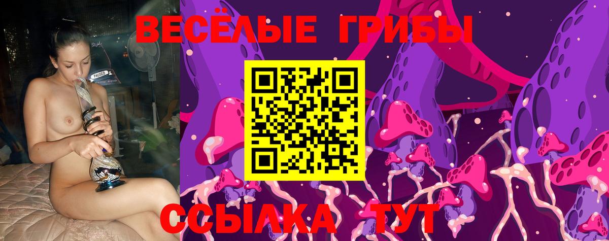 Псилоцибиновые грибы прущие грибы Конаково